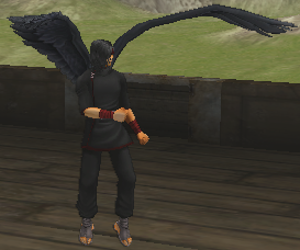 File:Ss fe09 enemy bird tribe raven unshifted.png