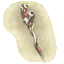 File:YHWC Zombie Staff.png