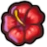 File:Is feh happy hibiscus.png