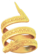 FEMN Power Ring.png