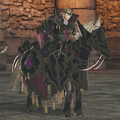 Promotion Outfits for Xander and his Steed in Warriors.