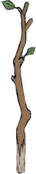 File:FEA Tree Branch.png
