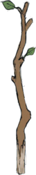 FEA Tree Branch.png