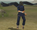 Seeker as an unshifted "Bird Tribe" in Path of Radiance.