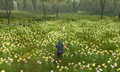 Screenshot of Alm and Celica in the flower field.