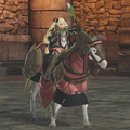 Promotion Outfits for Elise and her Steed in Warriors.