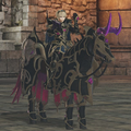 Promotion Outfits for Leo and his Steed in Warriors.