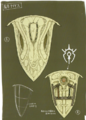 Concept art of the Aegis Shield from Three Houses.