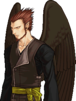 Hawk (laguz) - Fire Emblem Wiki