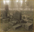 Thumbnail of Novis Cemetery.