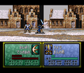 Ayra wielding a Silver Sword in Genealogy of the Holy War.