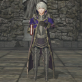 Male Robin's Promotion Outfit in Warriors.